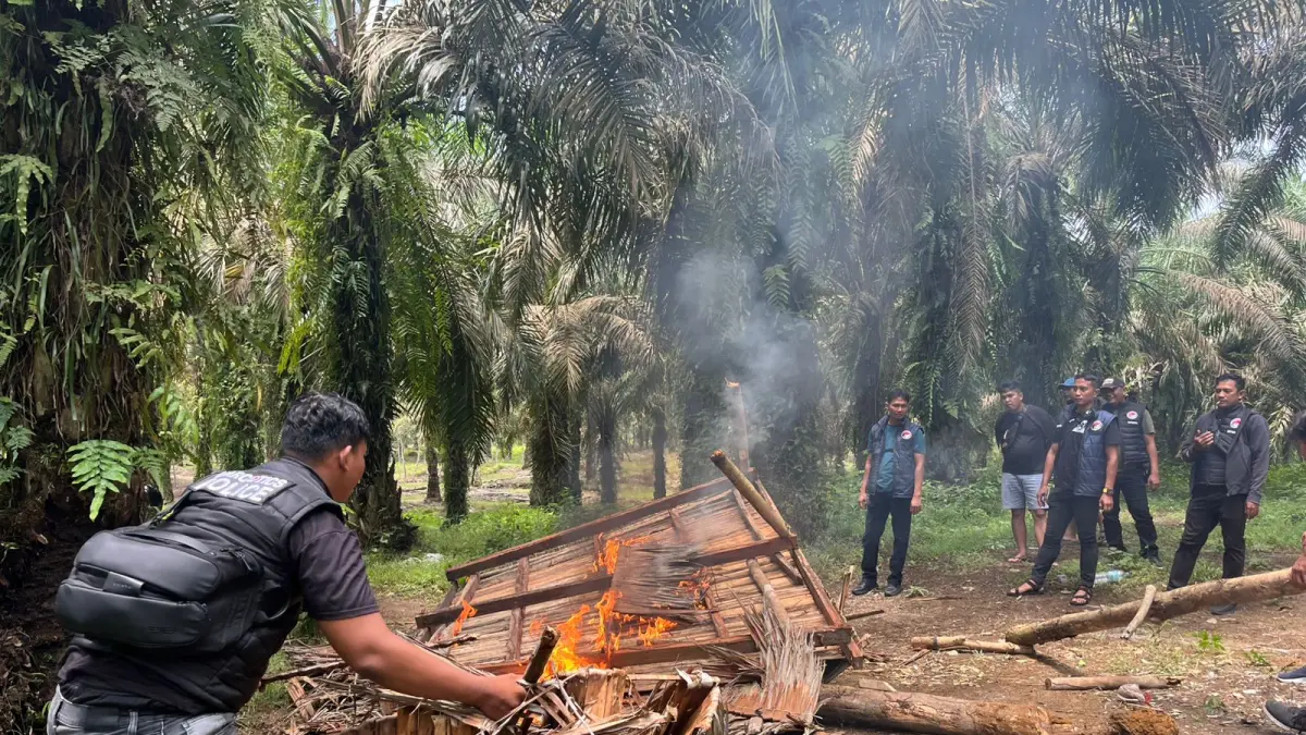 BAKAR: Polres Binjai membakar Barak narkotika di Desa Perhiasan, Kecamatan Selesai, Langkat. (Dok: Humas Polres Binjai/Sumut Pos)