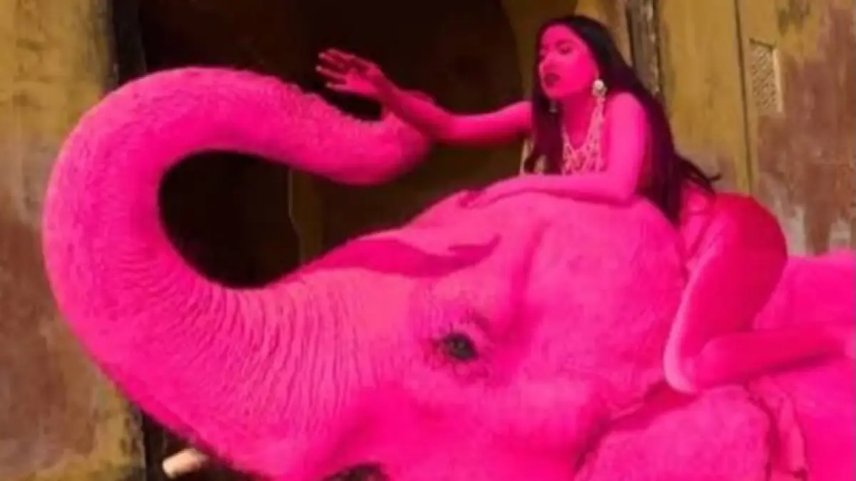 Gajah betina bernama Chanchal dicat warna merah muda viral di media sosial. (Instagram @pandemictalks)