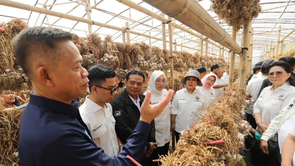 Kunjungan Kerja Spesifik Komisi IV DPR RI ke Balai Perakitan dan Pengujian Tanaman Sayuran di Lembang, Jawa Barat, Kamis (9/4/2026) (dok : Kementan)