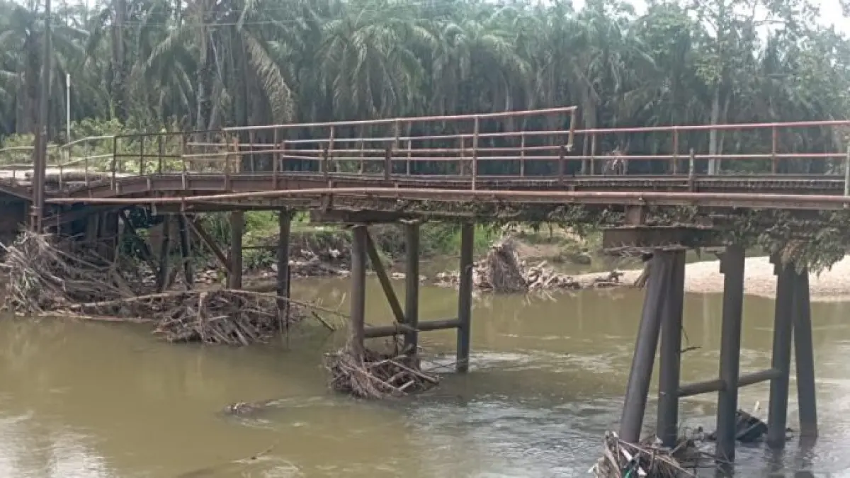 Jembatan Kanoko, di kecamatan Huta Raja Tinggi, atau Huragi, Palas yang hanya ditopang Batang Kelapa. (Mitra Harahap/Sumut Pos)
