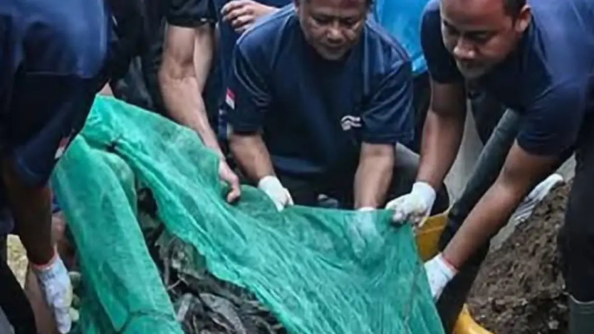 penguburan ikan sapu-sapu tuai sorotan di media sosial. (Instagram @lambegosiip)