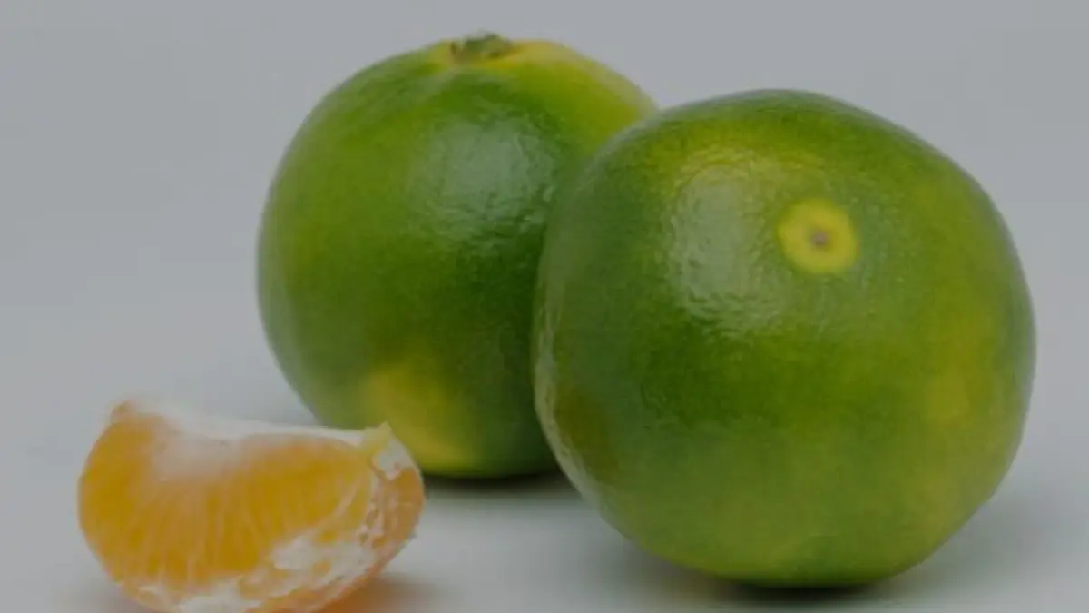 ilustrasi, jeruk adalah buah yang kaya manfaat, namun jika mengonsumsinya berlebihan akan menimbulkan efek samping. (freepik.com)