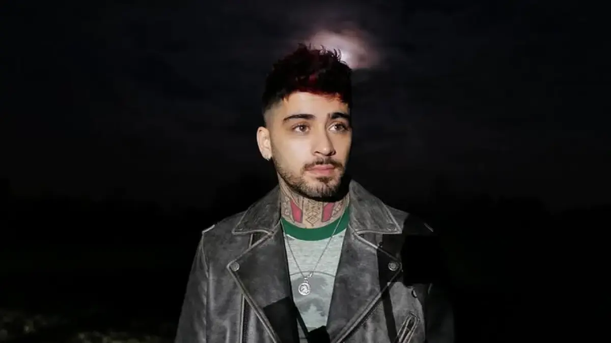Penyanyi Zayn Malik. (Dok: instagram inzayn)