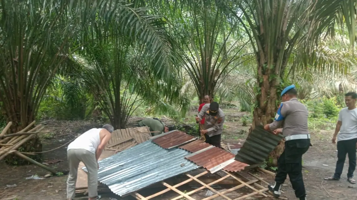 Personel Polsek Kampung Rakyat, jajaran Polres Labusel membongkar gubuk yang diduga dijadikan tempat transaksi narkoba. (KHAIRUDDIN/SUMUT POS)