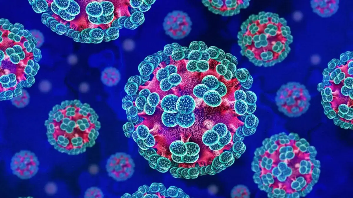 Ilustrasi Hantavirus. (UK Health Security Agency)