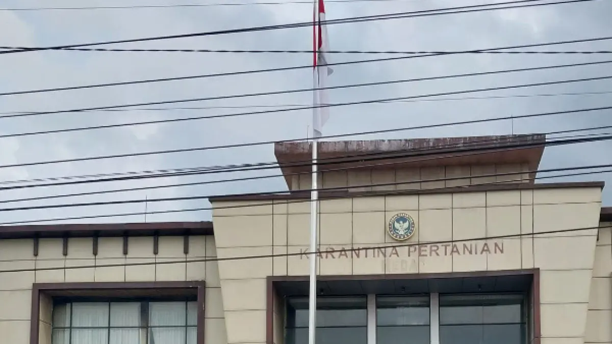 Kantor Balai Besar Karantina Hewan Ikan dan Tumbuhan Sumatera Utara, Kantor Satuan Pelayanan Kualanamu di Jalan Dusun Lestari, Desa Pasar V Kebun Kelapa, Kecamatan Beringin, Kab Deliserdang. (Batara)
&nbsp;