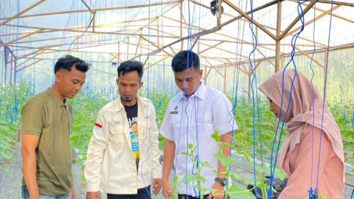 TINJAU: Yayasan Kumle Jaya Bermartabat dan SPPG Negeri Lama mengunjungi lokasi budidaya melon milik Sofyan Daulay di Desa Sei Tampang. (fajar)