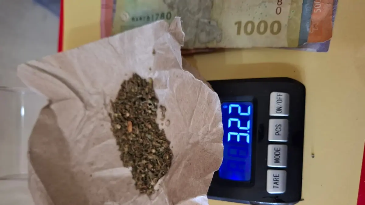 DIAMANKAN: Sat Narkoba Polres Palas mengamankan barang bukti ganja dari seorang pengedar, (Mitra Harahap/Sumut Pos)