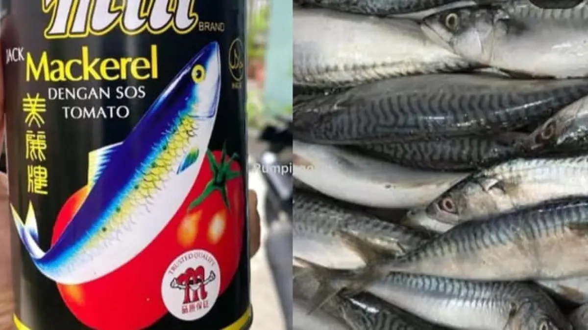 Sarden kaleng tetap aman dikonsumsi selama tidak berlebihan.(Instagram @rumpi_gosip)