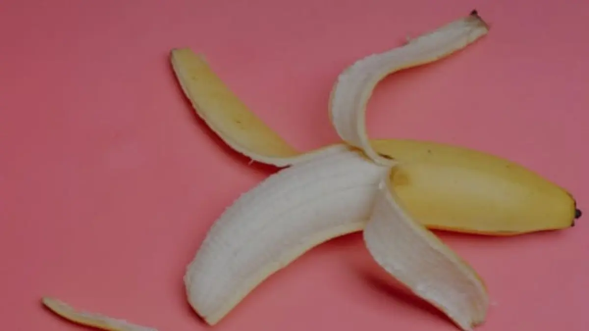 ilustrasi, buah pisang idealnya dicuci lebih dahulu sebelum disimpan atau dikonsumsi. (pexels.com)