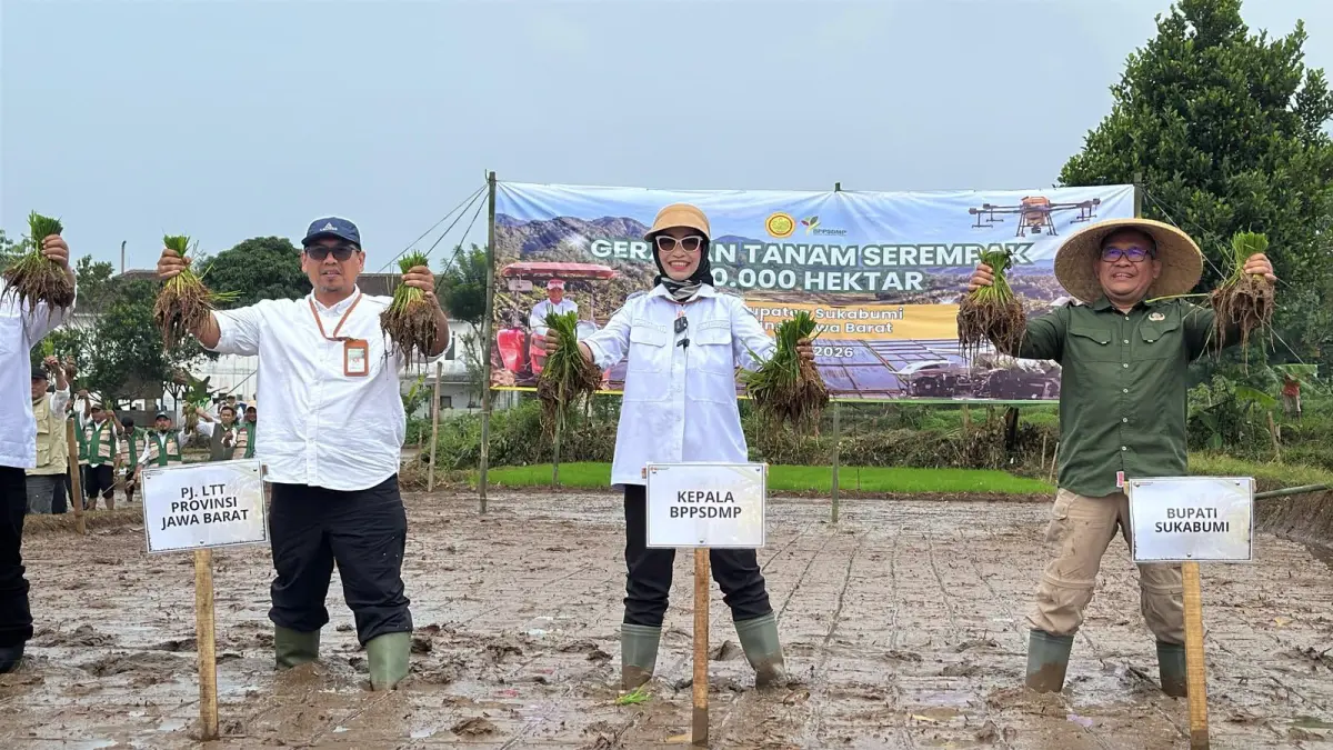 .Gerakan tanam serentak Kementan yang dilaksanakan Jumat (22/5/2026) dipusatkan di Desa Bojonglegok, Kecamatan Parakansalak, Kabupaten Sukabumi, Jawa Barat. (foto : Kementan)