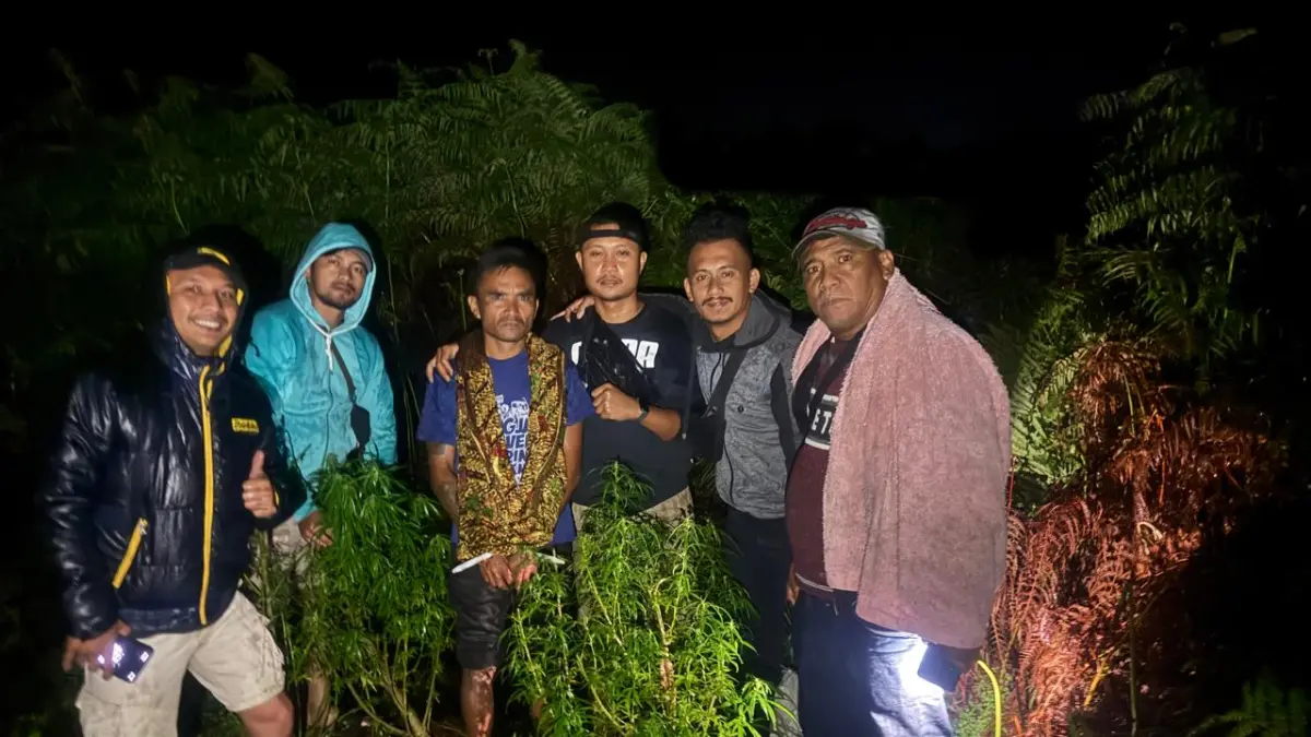 GANJA: Sat Narkoba Polres Dairi menunjukkan tersangka dan barangbukti narkotika jenis ganja saat diamankan, Jumat (22/5/2026). (Doku Humas Polres Dairi/Sumut Pos)