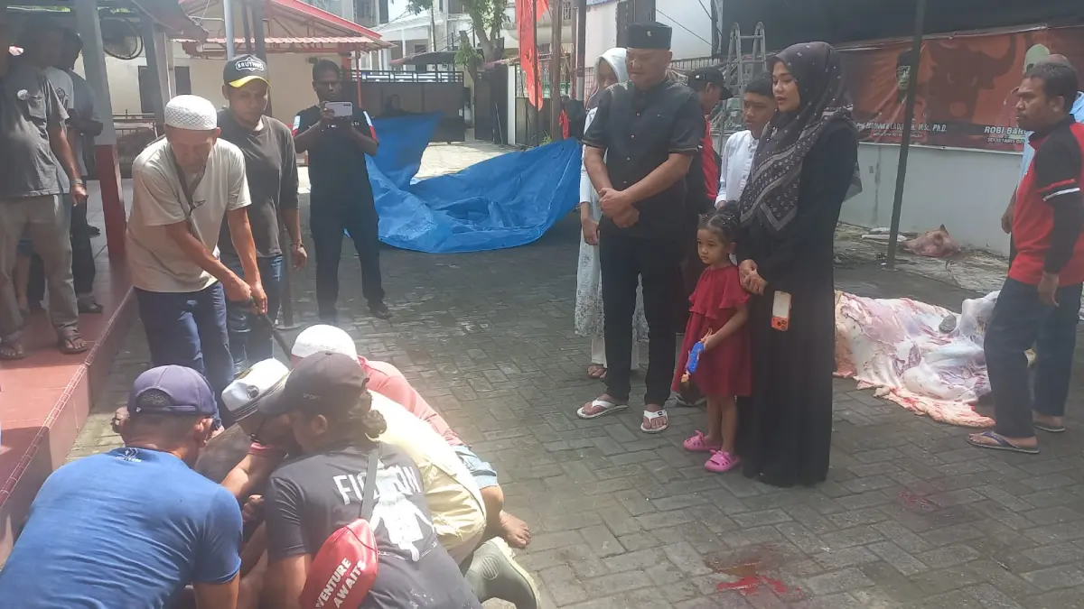 KURBAN: Ketua Fraksi PDI-P DPRD Medan, Robi Barus menyaksikan penyembelihan dua ekor sapi miliknya, Rabu (27/5/2026). (Dok: Markus Pasaribu/Sumut Pos)