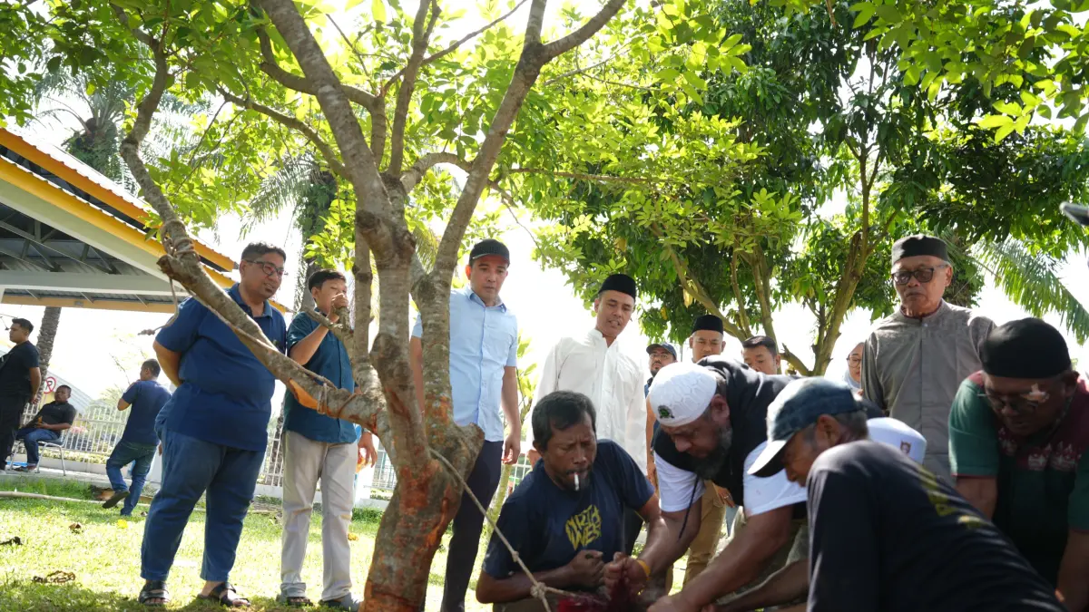 Ketua DPRD Deliserdang Zakky Shahri, Wakil Ketua DPRD Deliserdang masing-masing Hamdani Syahputra, Kuzu Serasi Tarigan serta Anggota DPRD Deliserdang masing-masing Misnan, Junaidi dan Zul Amri menyaksikan proses penyembelihan hewan kurban. (BATARA/SUMUT POS)