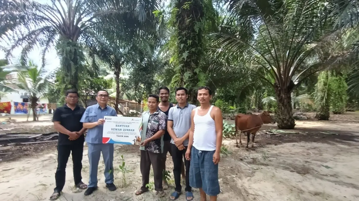 Sambut Idul Adha 1447 H, Inalum Salurkan 107 Hewan Kurban di Sumut.