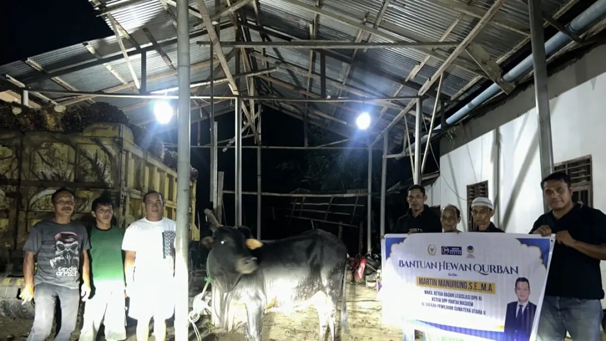  Anggota DPR RI Martin Manurung Salurkan 8 Sapi Kurban di Labuhanbatu Raya. (Asri Tarigan/Sumut Pos ) 