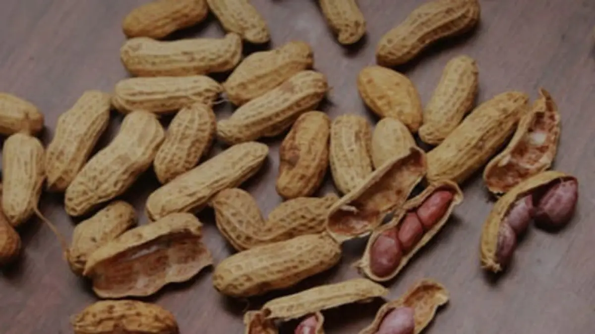 ilustrasi, kacang tanah merupakan salah satu makanan yang bisa memicu gatal berupa alergi. (pexels.com)