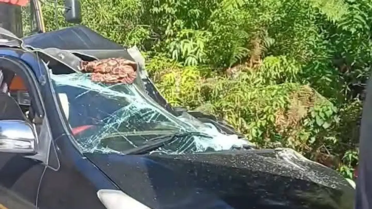 Mobil Avanza yang ditumpangi korban ringsek usai  mengalami kecelakaan di kawasan Lae Pondom, Dairi, Sabtu (30/5/2026) dinihari. (RUDY SITANGGANG/SUMUT POS)