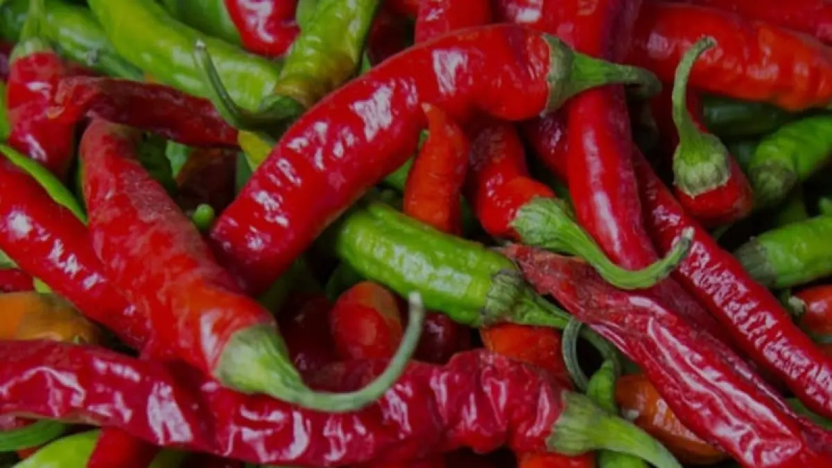 ilustrasi, cabai adalqh bahan makanan yang bisa memunculkan efek panas pada tangan, sensasi seperti terbakar. (pexels.com)