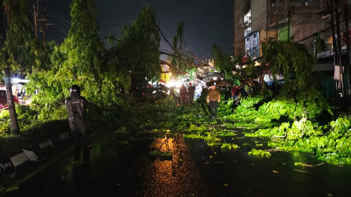 
Pohon tumbang yang menutup badan jalan hingga mengakibatkan kemacetan di Jalan Lintas Medan-Banda Aceh, Kecamatan Stabat, Langkat. (Foto dari Satlantas Polres Langkat/Sumut Pos)