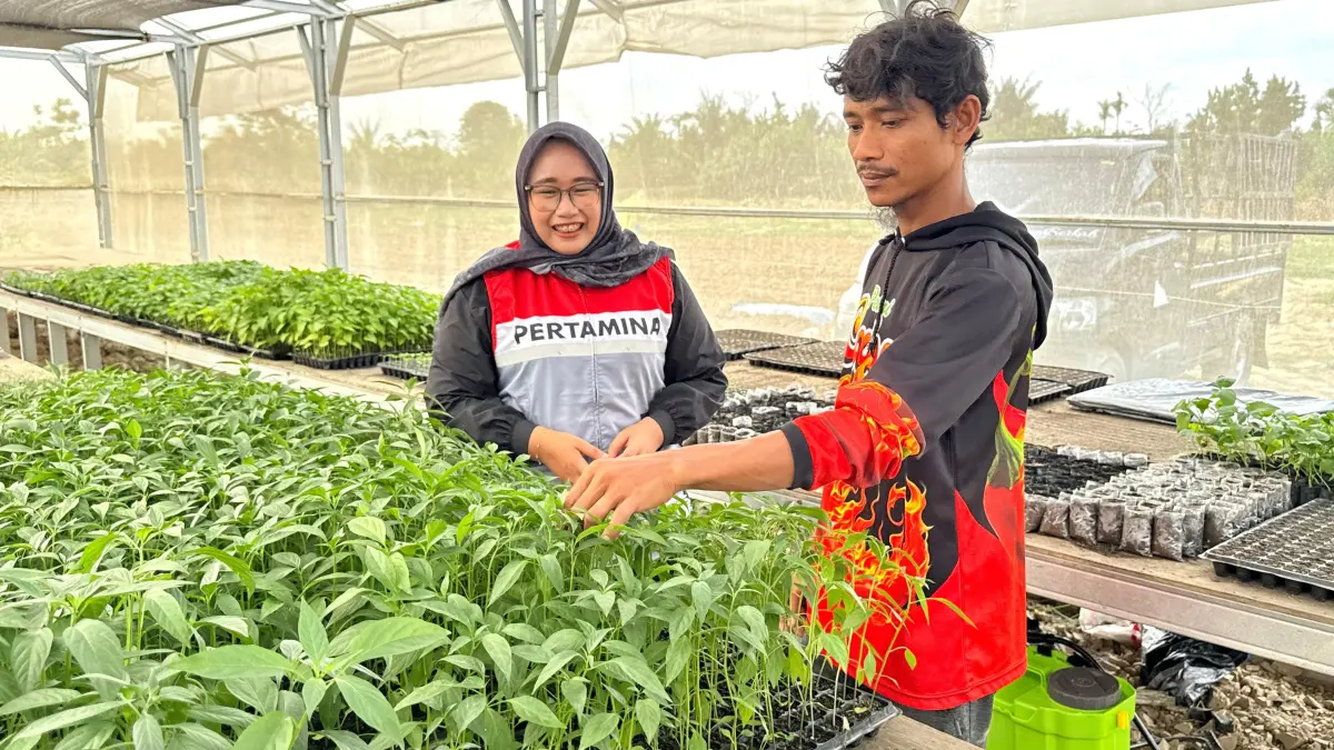 TANAM: Abdul Rozzaq Mubaroq ditemani karyawan Pertamina EP saat mengecek tanaman hortikultur di lahan pertaniannya di Kampung Tanjung Seumantoh, Kecamatan Karang Baru, Aceh Tamiang. (Dok: Pertamina EP Rantau Field)