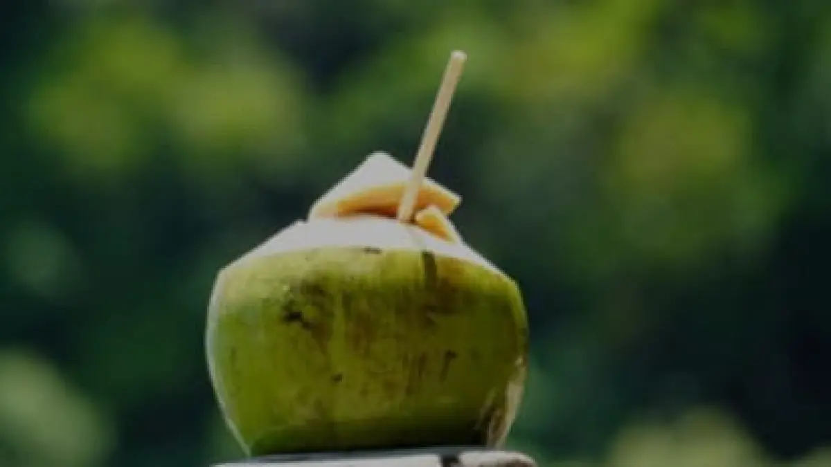 ilustrasi, air kelapa muda tidak hanya nikmat, namun juga punya ragam manfaat. (pexels.com)