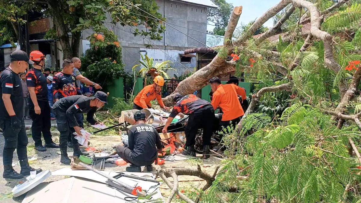
Petugas BPBD Binjai melakukan pembersihan pohon yang tumbang timpa pedagang betor jualan bakso. (Foto dari masyarakat/Sumut Pos)