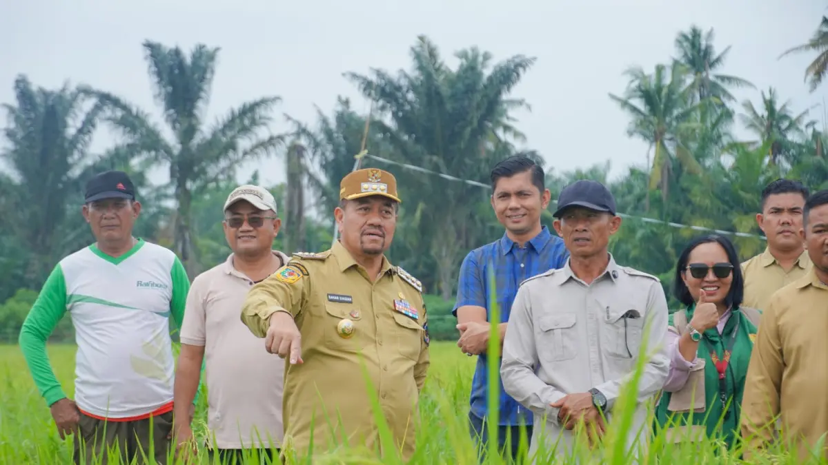 Bupati Batu Bara Dr. H. Baharuddin Siagian, S.H., M.Si., C.L.A., meninjau langsung lokasi persawahan Program PM-AAS (Pertanian Modern Advanced Agricultural System) di Desa Suka Raja, Kecamatan Air Putih, Selasa (14/7/2026). (Komimfo Batubara/Sumut Pos) 