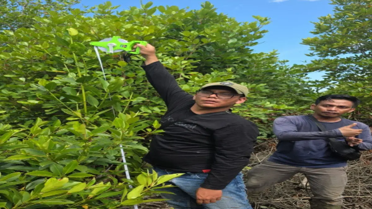 PT DPM melakukan rehabilitasi DAS sebagai kewajiban pemegang izin IPPKH hadirkan manfaat bagi lingkungan dan 
masyarakat. (RUDY SITANGGANG/SUMUT POS)