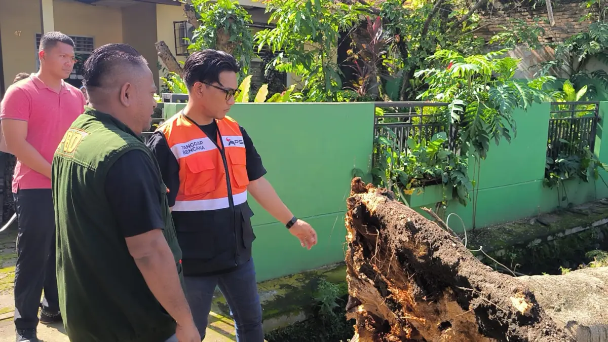 
Wawako Binjai, Hasanul Jihadi saat melihat pohon tumbang yang menimpa pedagang bakso kojek di Jalan Juanda, Kelurahan Timbang Langkat, Binjai Timur. (Teddy Akbari/Sumut Pos)