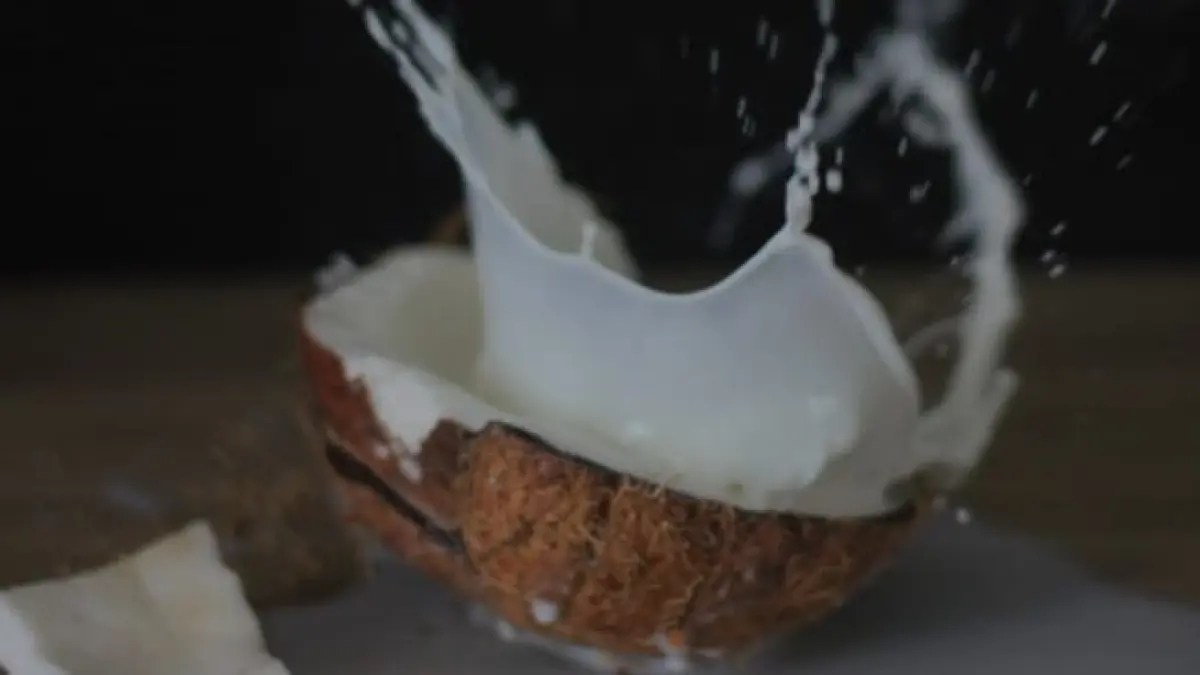ilustrasi, santan kelapa merupakan bahan makanan yang lazim bagi berbagai menu masakan di Indonesia. (pexels.com)