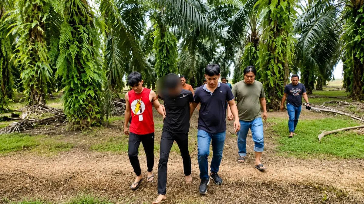 TANGKAP: Polisi menangkap FS pelaku penyelundupan sabu di area perkebunan sawit Asahan. (Dok: Polrestabes Medan)

