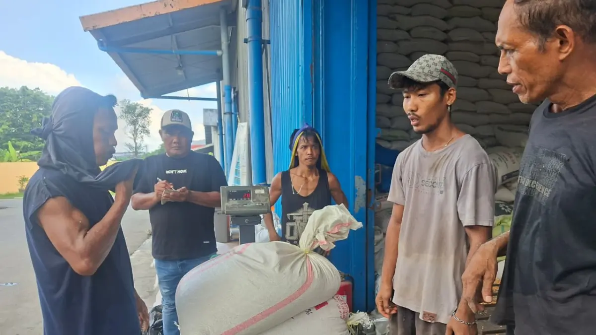 Kapolsek Medang Deras AKP A Sagala diwakili Kanit Binmas Polsek Medang Deras, Aiptu Fredy Manurung melakukan 
pendampingan langsung  dari keberangkatan hingga jagung diterima di Gudang Bulog Asahan,Kamis (23/7/2026). (Humas Polres Batubara/Sumut Pos)