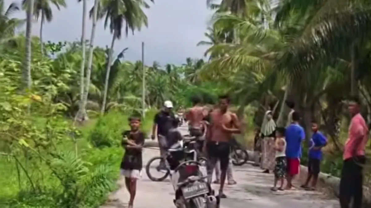 TUMBANG: Batang kelapa yang tumbang hingga membuat satu pelajar meninggal dunia, dan korban lainnya luka di jalan umum Simpang Tembok, perbatasan Desa Lima Laras dan Desa Jati Mulya, Kecamatan Nibung Hangus, Sabtu (25/7/2026). (Dok: Liberti H Haloho/Sumut Pos)

