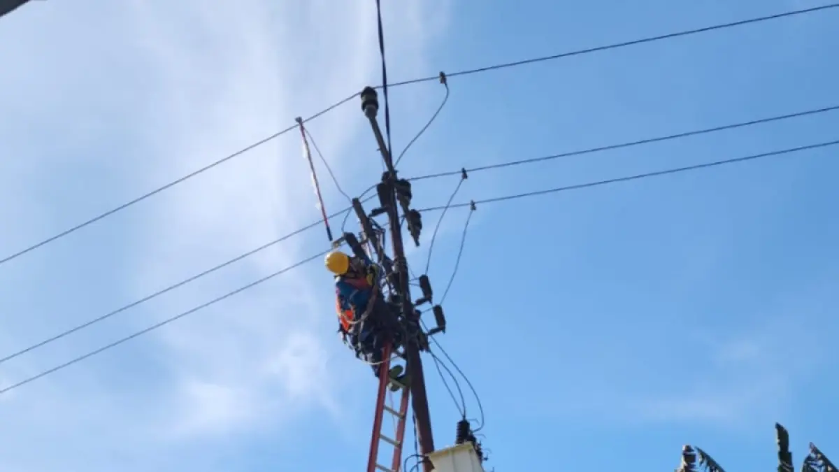 Petugas sedang melakukan perbaikan Jaringan listrik. (PLN UP3 Rantauprapat)