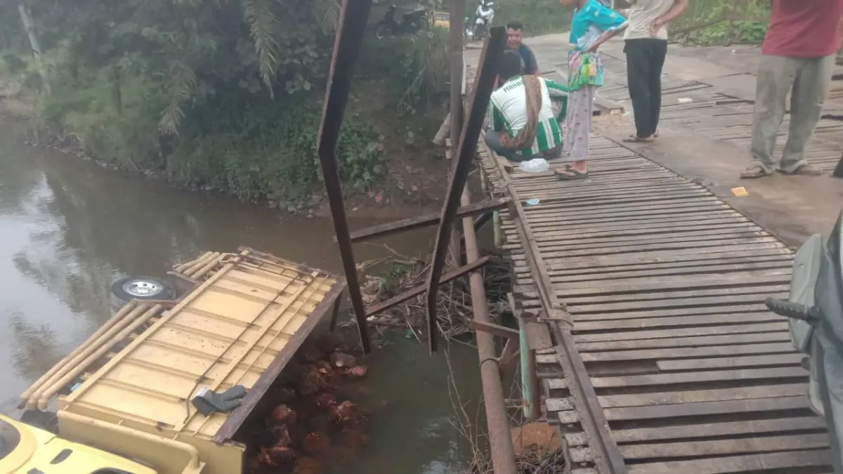 Truk bermuatan 11 Ton Sawit terjun ke sungai Aek Sosa, sopir lolos dari maut. (Mitra Harahap/Sumut Pos) 