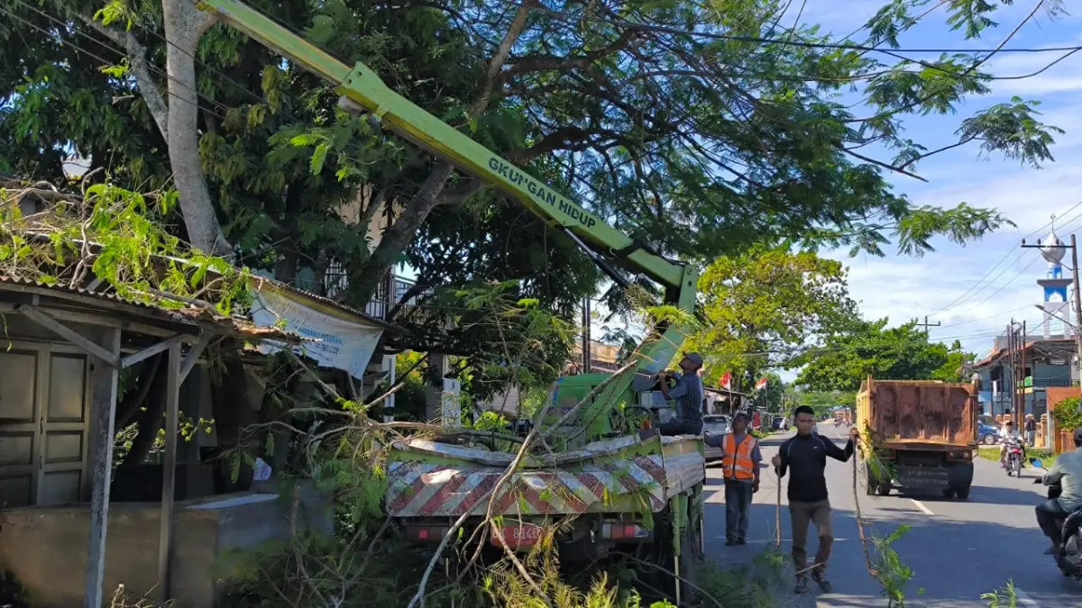 
Pemangkasan pohon sebagai bentuk respon cepat DLH Binjai atas laporan masyarakat. (Teddy Akbari/Sumut Pos)