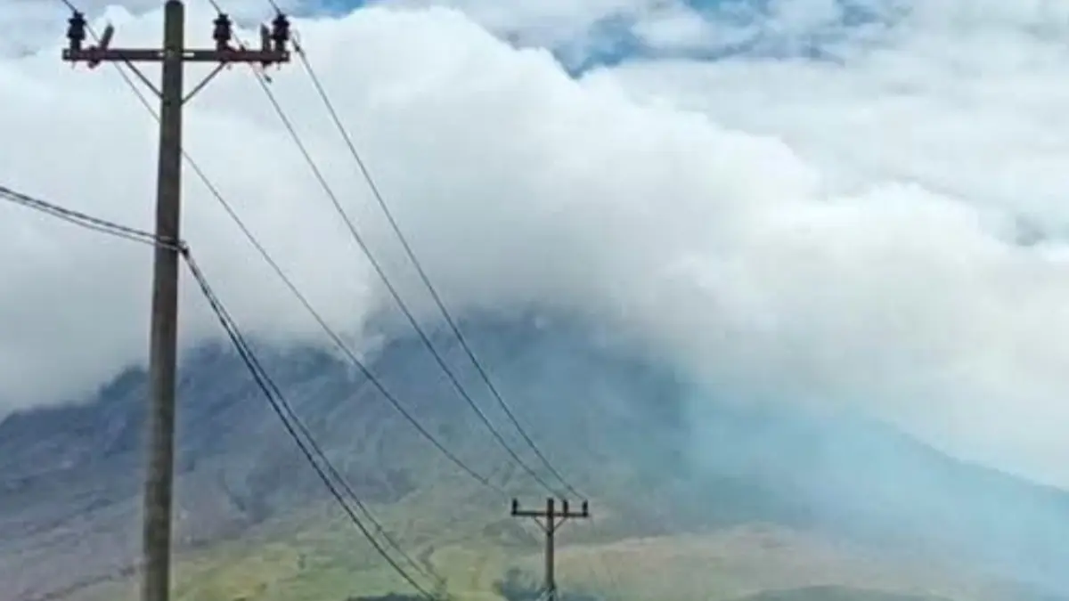 MENGUNING: Rerumputan di sekitar Gunung Sinabung tampak menguning. (Dok: warga)