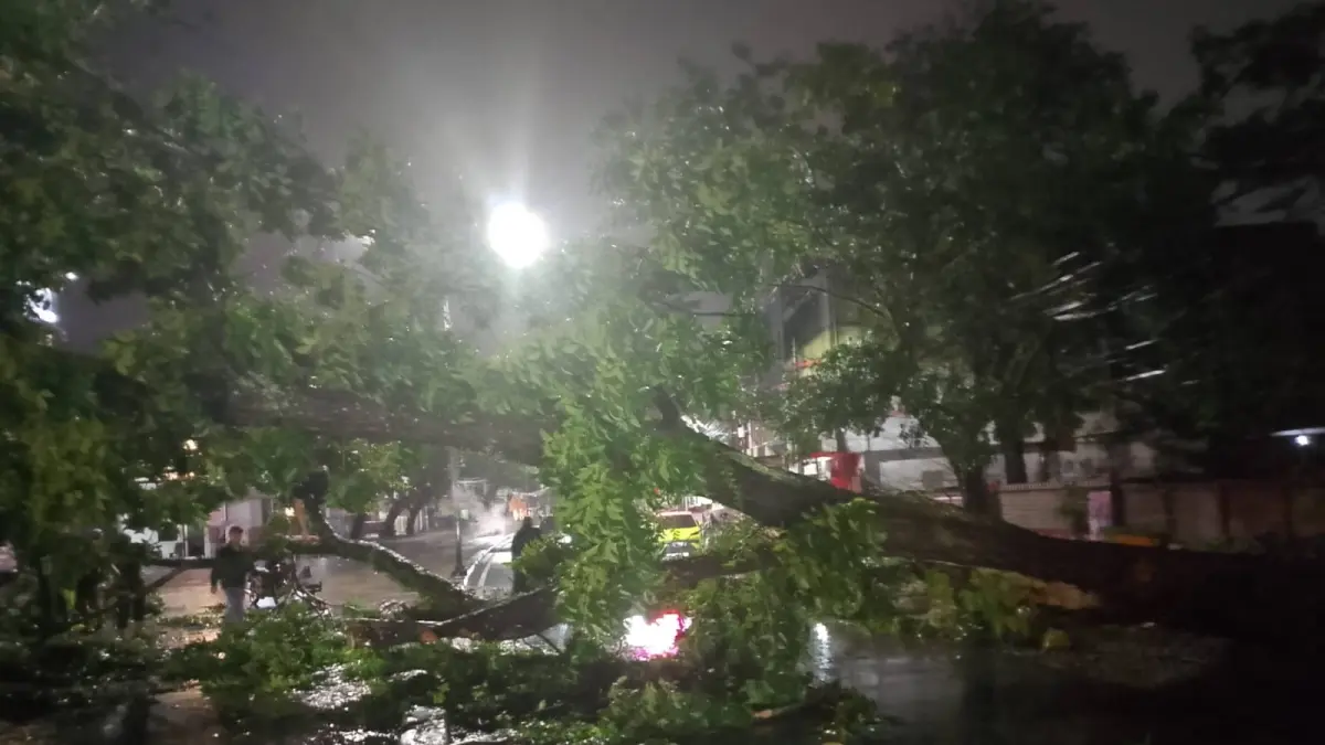 TUMBANG: pohon tumbang terjadi di Jalan KL Yos Sudarso, Kelurahan Gelugur, Lingkungan VII, Kecamatan Medan Barat, Selasa (18/8/2026). Pohon tumbang diduga terjadi akibat hujan deras yang disertai angin kencang yang melanda seluruh wilayah Kota Medan. (Dok: Ihsan Syahreza/Sumut Pos)