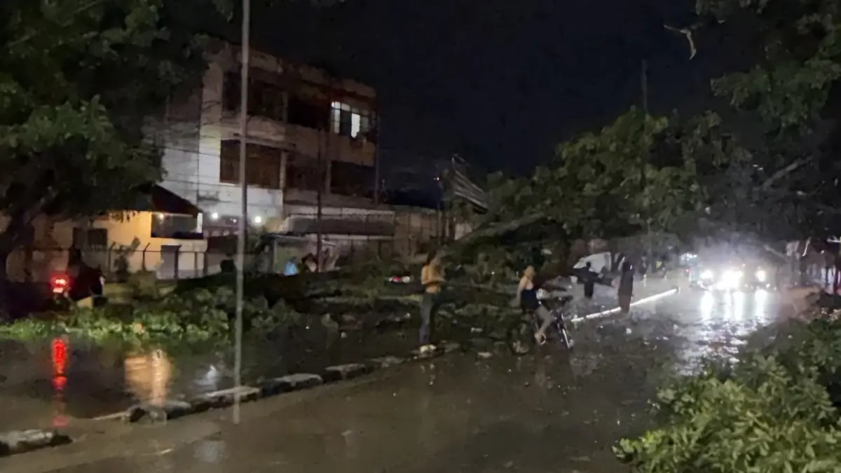TUMBANG: Sejumlah pohon tumbang di Kota Medan, Selasa (18/8/2026) malam. (Dok: DLHK Medan)