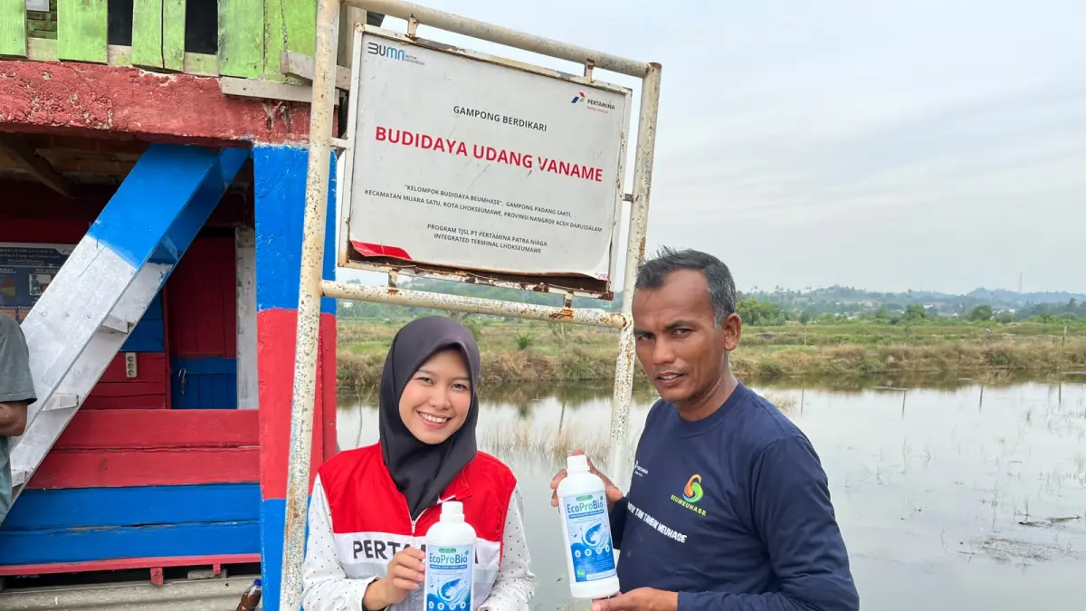 Pertamina Sumbagut perkuat Adaptasi iklim petambak udang Lhokseumawe lewat Probiotik MOL.