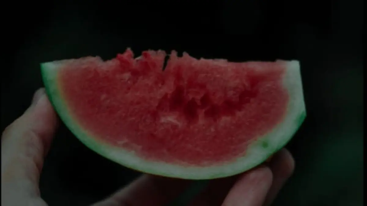 Ilustrasi, kulitas buah semangka bisa dilihat dari penampakannya. (pexels.com)