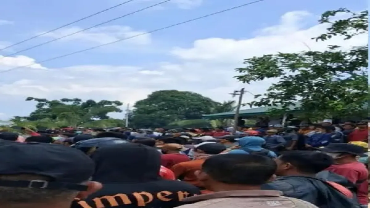 Ribuan warga Dalihan Natolu Sosa Julu berunjukrasa di Kantor PT SSL dan SRL, tuntut pengembalian  tanah ulayat,Senin 24 Agustus 2026. (Mitra Harahap/Sumut Pos)