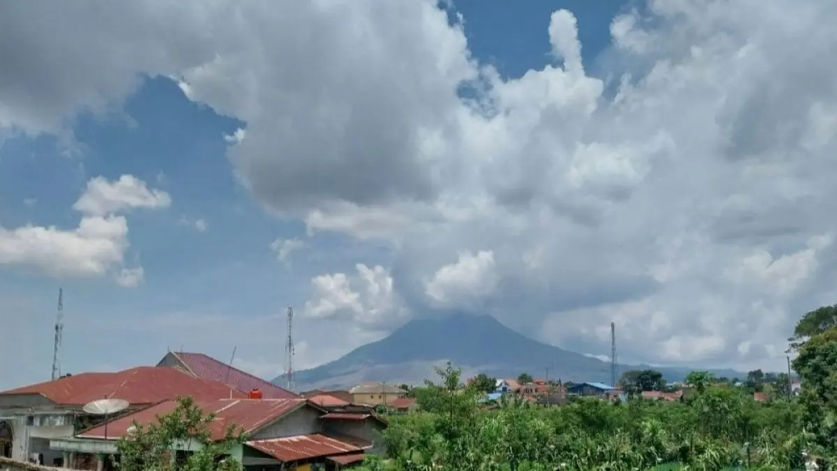 Dinas Pertanian Kabupaten Karo, luas lahan pertanian yang terdampak abu vulkanik mencapai 1.832 hektar yang tersebar di enam kecamatan. (Solideo/Sumut Pos)