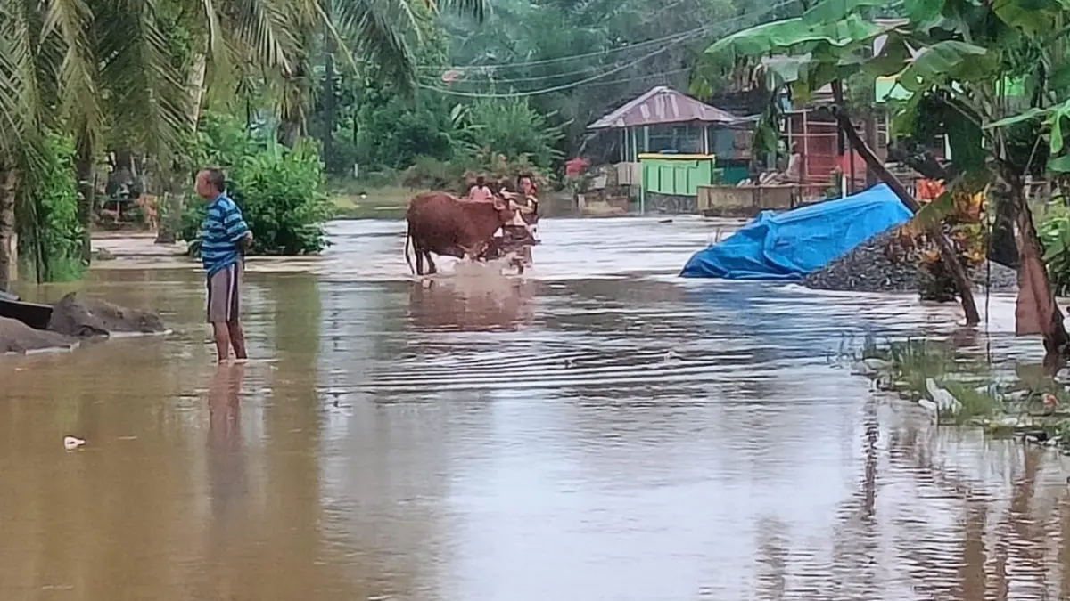 BENCANA: Hujan dengan intensitas tinggi yang mengguyur sejumlah wilayah Sumatera Utara (Sumut) dalam beberapa hari terakhir memicu bencana hidrometeorologi di sejumlah kabupaten.(Dok : BPBD Sumut)
