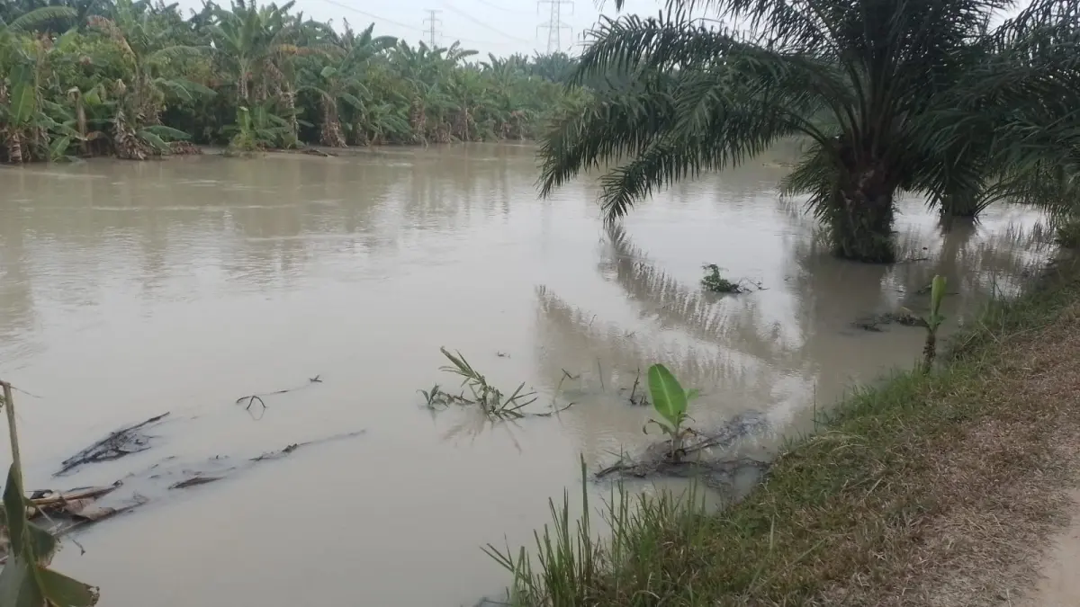 Kondisi banjir hebat di desa Gambus Laut, Selasa(8/9/2026). (Liberti H Haloho/Sumut Pos)