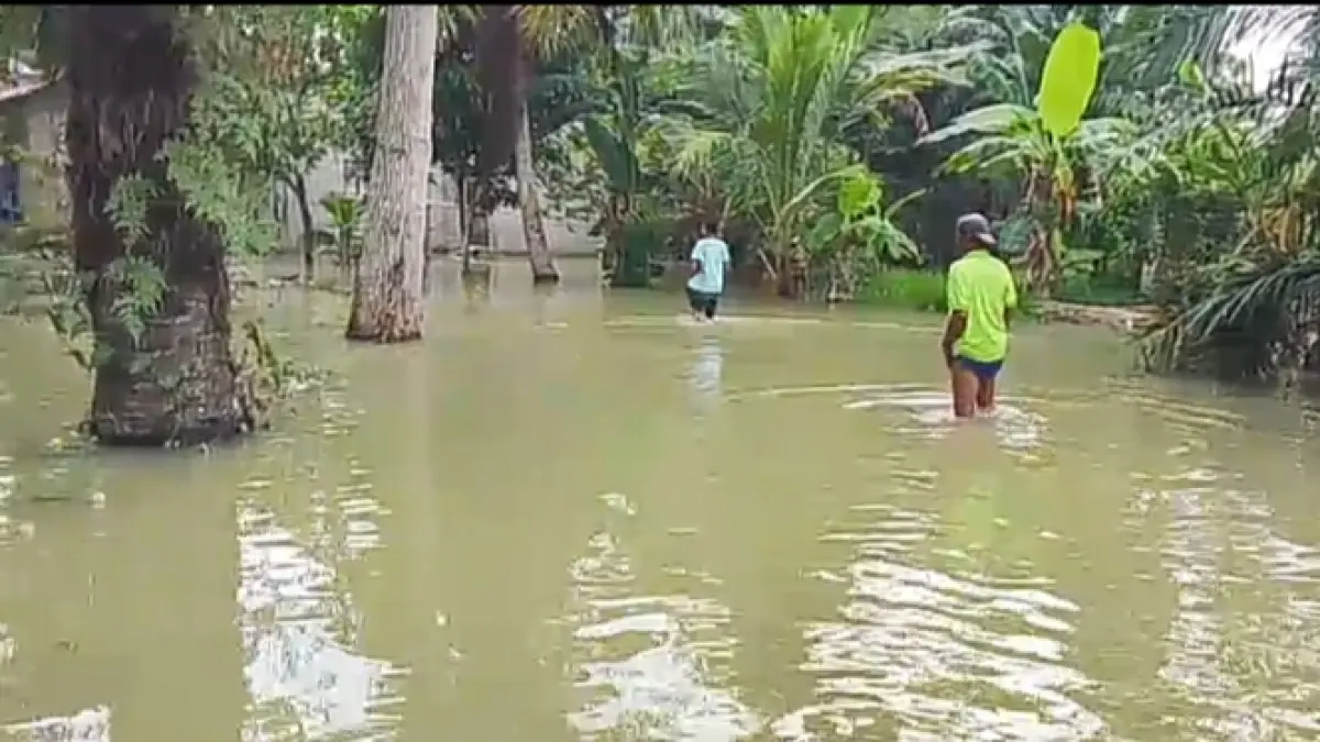 Kondisi Banjir di Desa Gambus Laut yang sudah mencapai lutut orang dewasa serta telah masuk kepemukiman penduduk, Sabtu(12/9/2026). (liberti H Haloho/Sumut Pos)
