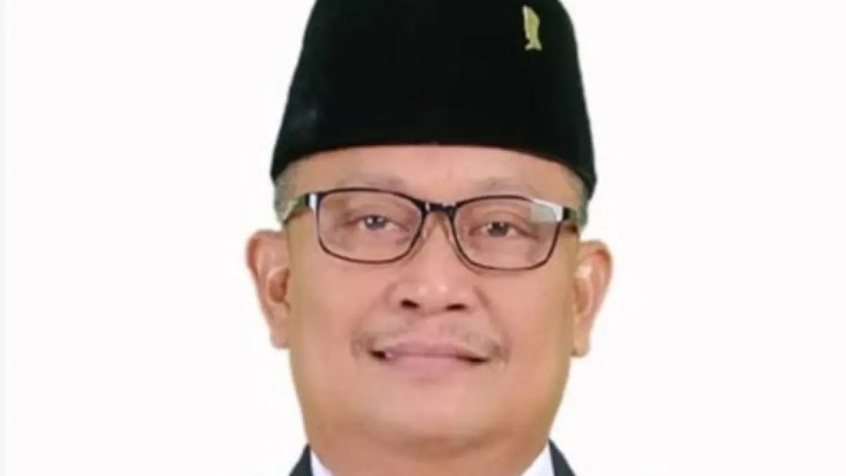 Anggota Fraksi PDI Perjuangann DPRD Sumut, Delpin Barus. (Dok: Delpin Barus)