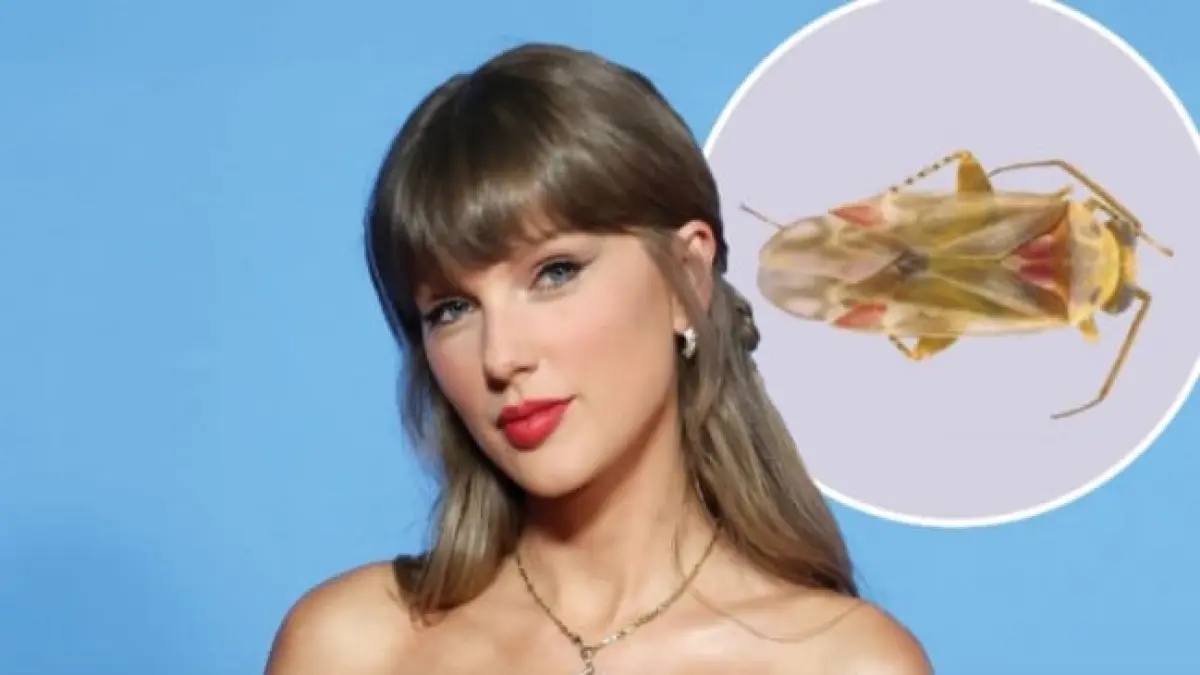 Para peneliti menggunakan nama Taylor Swift untuk menamai genus serangga baru yang ditemukan di Australia.(Instagram @cretivox)