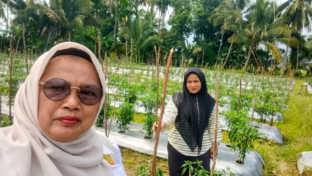 Kepala BPP Kecamatan Ulu Barumun, Nurazimah Hasibuan. (Dok: Nurazimah Hasibuan)